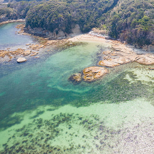 綺麗な海