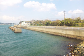 延命寺護岸遊歩道緑地写真